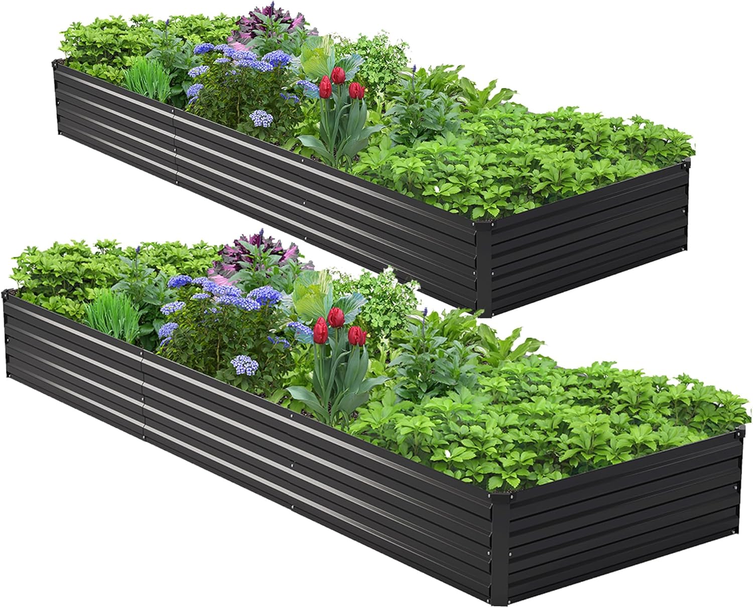 2PCS 10x3x1ft Galvanized Raise – Planter Raised Metal recenzja i cena